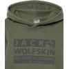 imageJack Wolfskin Boys Brand Hoody KThyme Green
