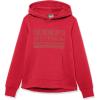 imageJack Wolfskin Boys Brand Hoody KTulip Red
