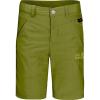 image:imageJack Wolfskin Girls Sun Shorts Kids Nylon Shorts Green Tea 176 14 Years and Older