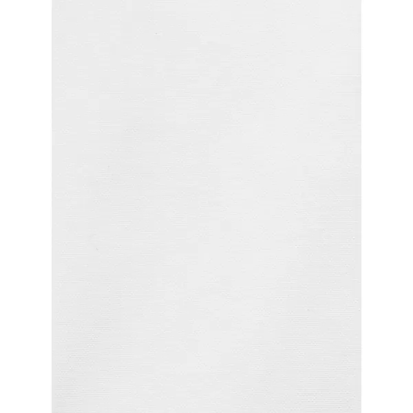 imagePaul Fredrick Mens NonIron 2Ply Cotton Button Down Collar Dress ShirtWhite