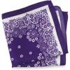 imagePaul Fredrick Mens Medallion Silk Pocket SquarePurple