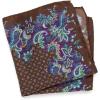 imagePaul Fredrick Mens Paisley Silk Pocket SquareBrown Multi