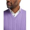 imagePaul Fredrick Mens Cotton VNeck VestPurple