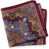 imagePaul Fredrick Mens Medallion Silk Pocket Square
