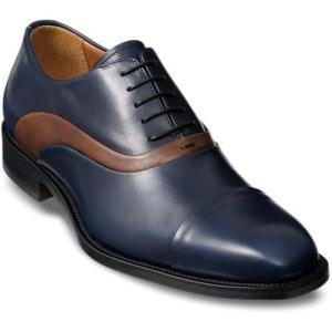 imagePaul Fredrick Mens Toby Oxford NavyBrown 14M