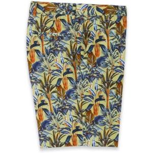 image:imagePaul Fredrick Mens Cotton Printed Flat Front ShortsGreen Multi