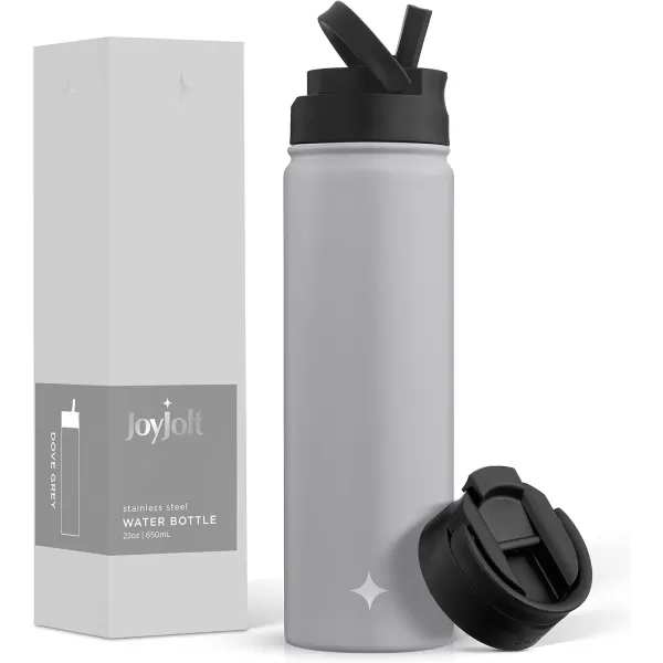 imageJoyJolt Triple Insulated Water Bottle with Straw Lid AND Flip Lid 32oz Large Water Bottle 12 Hour HotCold Vacuum Insulated Stainless Steel Bottle BPAFree Leakproof Water Bottles  Thermos BottleDove Grey