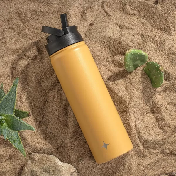 imageJoyJolt Triple Insulated Water Bottle with Straw Lid AND Flip Lid 22oz Water Bottle 12 Hour HotCold Vacuum Insulated Stainless Steel Water Bottle BPAFree Leakproof Water Bottles  Thermos BottleGoldenrod