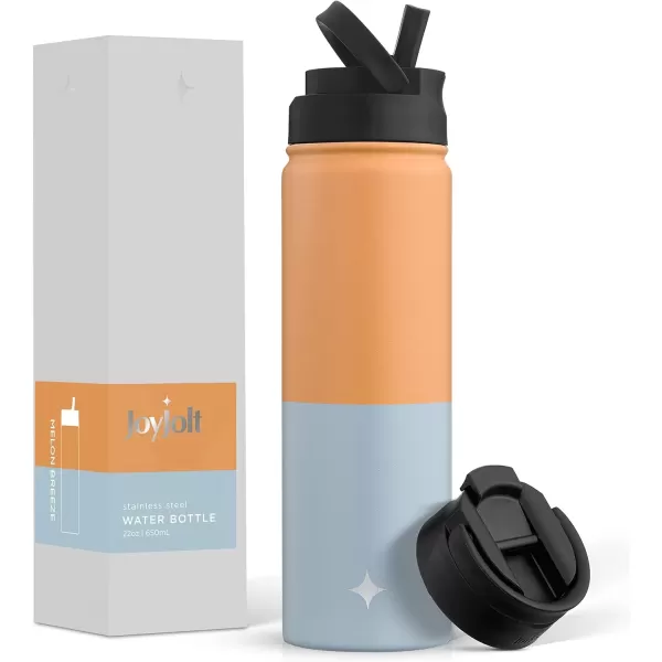 imageJoyJolt Triple Insulated Water Bottle with Straw Lid AND Flip Lid 22oz Water Bottle 12 Hour HotCold Vacuum Insulated Stainless Steel Water Bottle BPAFree Leakproof Water Bottles  Thermos BottleOrangeBlue