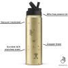 image:imageJoyJolt Disney MonoMouse Stainless Steel Water Bottle with Flip Straw Lid 22 oz Vacuum Insulated Water Bottle BPAFree Tumbler ft Minnie amp Mickey Mouse  Gold