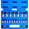 imageNEIKO 10074A Metric Hex Bit Socket Set  13Piece Set  S2 and CrV Steel  14Inch 38Inch and 12Inch Drive  2mm to 14mmAllen Hex Bit