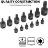 imageNEIKO 10071A 13Piece Torx Bit Socket Set S2 and CrV Steel 14Inch 38Inch and 12Inch Drive 2mm to 14mm Torx Bit Set Torque Bit Set Torx Socket SetTorx