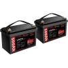 12V 100Ah G31 (2 Pack)