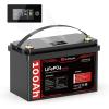 12V 100Ah G31 w/ LED Meter