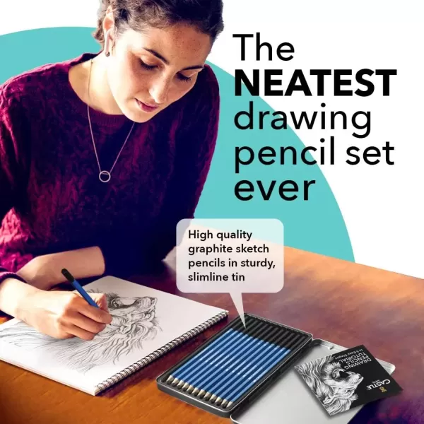 imageCastle Art Supplies 12 Piece Graphite Drawing Pencils Kit  For Adult Artists  Beginners and Advanced  Presented in Attractive Compact Sturdy Metal Case With Tutorial