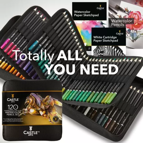 imageCastle Art Supplies 120 Watercolor Pencils Set with Extras  Quality Vibrant Pigments  Draw and Paint at the Same Time  For Adult Hobbyists Professionals  In Carryanywhere Travel Case