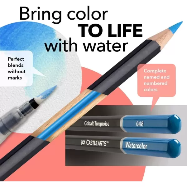 imageCastle Art Supplies FloralBotanical Watercolor Pencils Set  24 Quality Selected Vibrant Colors  Draw and Paint at the Same Time  For Adult Artists and Gifting  In Special Tin Box