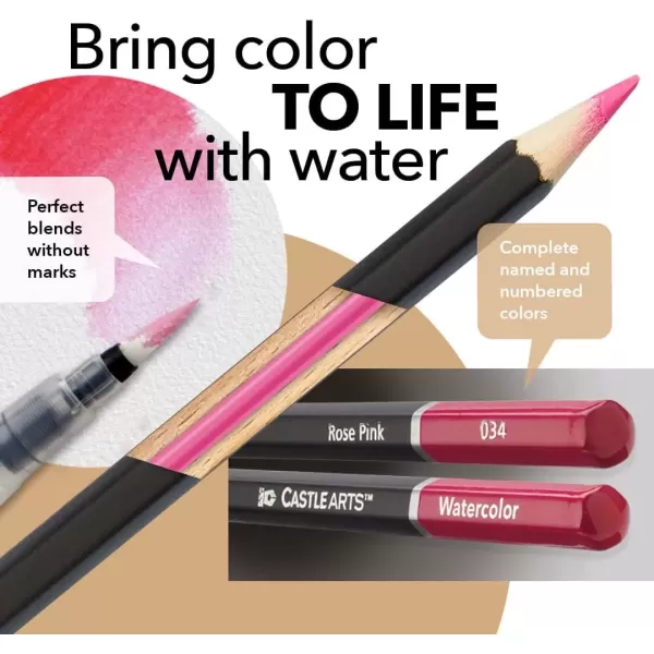 imageCastle Art Supplies Portraits Themed Watercolor Pencils Set  24 Quality Selected Vibrant Colors  Draw and Paint at the Same Time  For Adult Artists and Gifting  In Special Tin Box