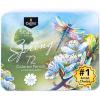 image:imageCastle Art Supplies 72 Spring Colored Pencils Set  WaxBased Pencils with Soft Smooth Cores  SpringInspired Palette for Adult Artists  Organized in Display Tin  Seasons Collection
