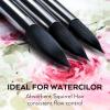 imageNicpro 15PCS Watercolor Brushes Set Artists Professional Watercolor Paint Brush Soft Synthetic Squirrel Hair with Round Flat Dagger Wash for Water Color Gouache Ink  with Holder ampamp BagBlack