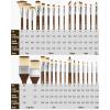 imageNicpro 30pcs Paint Brush Set Professional Paintbrushes with Paint Spatula and Cloth Roll Craft Paint Brushes for Acrylic Painting Oil Watercolor Gouache Art Supplies for Artists and Beginners