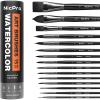 imageNicpro 15PCS Watercolor Brushes Set Artists Professional Watercolor Paint Brush Soft Synthetic Squirrel Hair with Round Flat Dagger Wash for Water Color Gouache Ink  with Holder ampamp BagBlack
