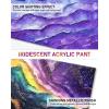 imageNicpro 20 Colors Iridescent Acrylic Paint 845oz  250ml Large Bulk Metallic Acrylic PaintColor Shifting ampamp NonToxic Art Painting Supplies For Canvas Fabric Rock Wood with Paint Knife Color Wheel