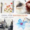 imageNicpro 4 PCS Professional Watercolor Brushes Extended Needle Point Brushes Set Synthetic Fine Tip Liner Brush with Sable Body for Fine Detailing  Watercolor Acrylic Gouache Inks Painting Miniatures4 PCS