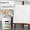 image:imageNicpro Clear Gesso Primer for Acrylic Painting212Oz  513ML Gesso Surface Prep Medium for Acrylic Paint Oil Paint Pencil amp Pastel Mixable Clear Gesso Primer for Canvas Wood Paper PlasticWhite