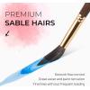 image:imageNicpro 8 PCS Professional Watercolor Brushes Extended Needle Point Brush Set Sable Watercolor Brushes with Synthetic Extra Long Tip for Fine Detailing  Watercolor Acrylic Gouache Inks Painting8 PCS