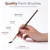 image:imageNicpro Professional Watercolor Brushes Set 10PCS Synthetic Squirrel Hair Paint Brushes  Pointed Round Flat Dagger Cats Tongue for Watercolor Gouache Ink Painting  for Artists amp Beginners