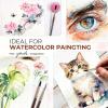 image:imageNicpro Professional Watercolor Brushes Set 10PCS Synthetic Squirrel Hair Paint Brushes  Pointed Round Flat Dagger Cats Tongue for Watercolor Gouache Ink Painting  for Artists amp Beginners