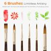 image:imageNicpro Travel Watercolor Brushes Set 6Pcs Kolinsky Sable Performance Paint Brush for Professional Artist amp Beginners with Round Rigger Cats Tongue Oval Wash for Water Color Ink Gouache Painting6 PCS
