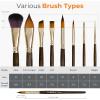 image:imageNicpro Travel Watercolor Brushes Set 6Pcs Kolinsky Sable Performance Paint Brush for Professional Artist amp Beginners with Round Rigger Cats Tongue Oval Wash for Water Color Ink Gouache Painting8 PCS