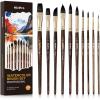 image:imageNicpro Professional Watercolor Brushes Set 10PCS Synthetic Squirrel Hair Paint Brushes  Pointed Round Flat Dagger Cats Tongue for Watercolor Gouache Ink Painting  for Artists amp Beginners