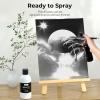 image:imageNicpro White Large Airbrush Paint amp Black Gray White Surface Primer Airbrush Paint