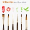 image:imageNicpro Professional Watercolor Brushes Set 12PCS Kolinsky Sable Performance Brushes for Watercolor Gouache Ink amp Fluid Acrylic Round Pointed Flat Mop Dagger Angle amp Rigger6 PCS