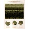 imageSHEWIN Womens Sweaters Casual Long Sleeve V Neck Lightweight Crochet Pullover Sweater TopsB Fern Green