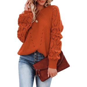 imageSHEWIN Womens Casual Long Sleeve Crewneck Crochet Sweater Lightweight Knit Pullover Sweaters TopsE Orange