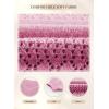 image:imageSHEWIN Womens Sweaters Casual Long Sleeve V Neck Crewneck Lightweight Crochet Pullover Sweater TopsB Pink
