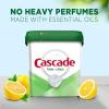 imageCascade Free ampamp Clear ActionPacs Dishwasher Detergent Lemon Essence Dishwasher Soap Dishwasher Pods 62 Count62 Count Pack of 1