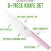 imageGreenLife High Carbon Stainless Steel 5 Piece Knife Set with Covers Includes Chef Santoku Serrated Utility and Pairing Comfort Grip Handles Triple Rivet Cutlery TurquoisePink