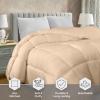 imageUtopia Bedding Comforter Duvet Insert Quilted Comforter with Corner Tabs Box Stitched Down Alternative Comforters Queen Size WhiteBeige