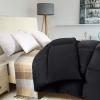 imageUtopia Bedding Comforter Duvet Insert Quilted Comforter with Corner Tabs Box Stitched Down Alternative Comforters Queen Size WhiteBlack