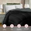 imageUtopia Bedding Comforter Duvet Insert Quilted Comforter with Corner Tabs Box Stitched Down Alternative Comforters Queen Size WhiteBlackGrey