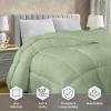 imageUtopia Bedding Comforter Duvet Insert Quilted Comforter with Corner Tabs Box Stitched Down Alternative Comforters Queen Size WhiteSage Green