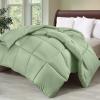 imageUtopia Bedding Comforter Duvet Insert Quilted Comforter with Corner Tabs Box Stitched Down Alternative Comforters Queen Size WhiteSage Green