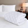 imageUtopia Bedding Quilted Fitted Mattress Pad Queen Size Elastic Fitted Mattress Topper Protector and Cover Stretches up to 16 Inches Deep Machine Washable WhiteWhite