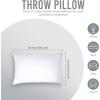 imageUtopia Bedding Throw Pillows Insert Pack of 2 White  18 x 18 Inches Bed and Couch Pillows  Indoor Decorative PillowWhite