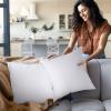 imageUtopia Bedding Throw Pillows Insert Pack of 2 White  18 x 18 Inches Bed and Couch Pillows  Indoor Decorative PillowWhite